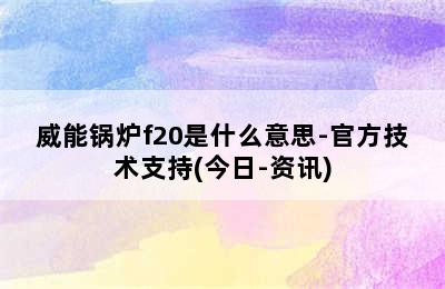 威能锅炉f20是什么意思-官方技术支持(今日-资讯)