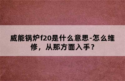 威能锅炉f20是什么意思-怎么维修，从那方面入手？