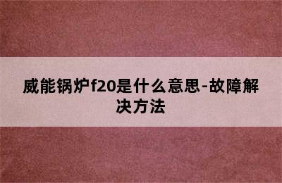 威能锅炉f20是什么意思-故障解决方法