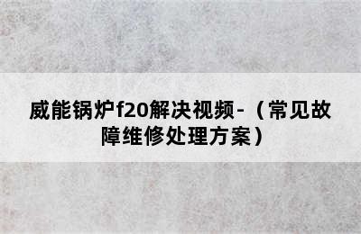 威能锅炉f20解决视频-（常见故障维修处理方案）