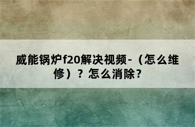 威能锅炉f20解决视频-（怎么维修）？怎么消除？