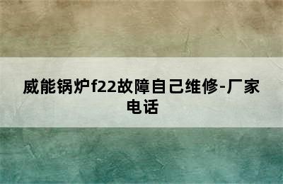 威能锅炉f22故障自己维修-厂家电话