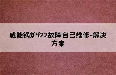 威能锅炉f22故障自己维修-解决方案