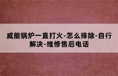 威能锅炉一直打火-怎么排除-自行解决-维修售后电话