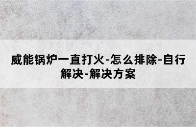 威能锅炉一直打火-怎么排除-自行解决-解决方案