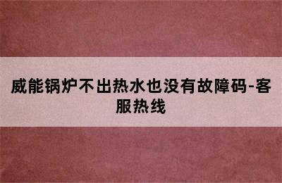 威能锅炉不出热水也没有故障码-客服热线