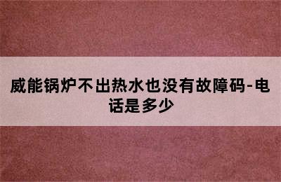 威能锅炉不出热水也没有故障码-电话是多少