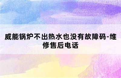 威能锅炉不出热水也没有故障码-维修售后电话