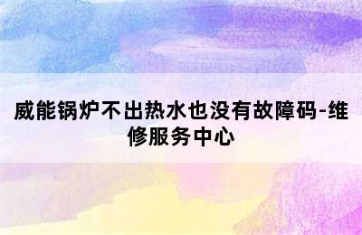 威能锅炉不出热水也没有故障码-维修服务中心