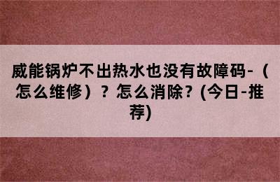 威能锅炉不出热水也没有故障码-（怎么维修）？怎么消除？(今日-推荐)