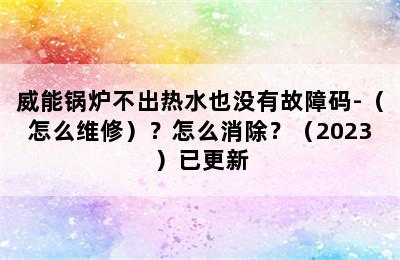 威能锅炉不出热水也没有故障码-（怎么维修）？怎么消除？（2023）已更新