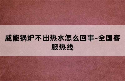 威能锅炉不出热水怎么回事-全国客服热线