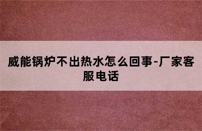 威能锅炉不出热水怎么回事-厂家客服电话