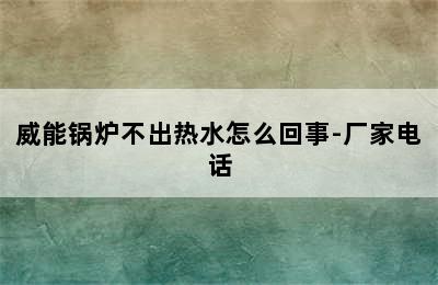 威能锅炉不出热水怎么回事-厂家电话