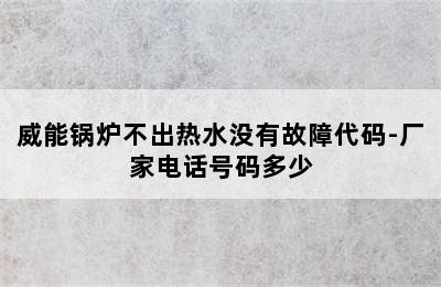 威能锅炉不出热水没有故障代码-厂家电话号码多少