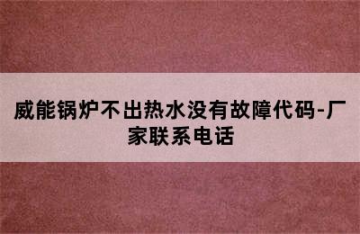 威能锅炉不出热水没有故障代码-厂家联系电话