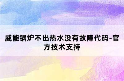 威能锅炉不出热水没有故障代码-官方技术支持