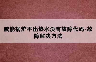 威能锅炉不出热水没有故障代码-故障解决方法