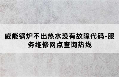 威能锅炉不出热水没有故障代码-服务维修网点查询热线