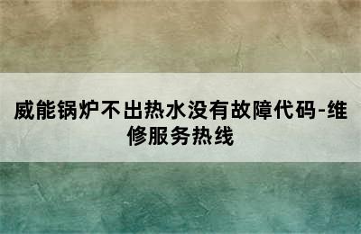 威能锅炉不出热水没有故障代码-维修服务热线