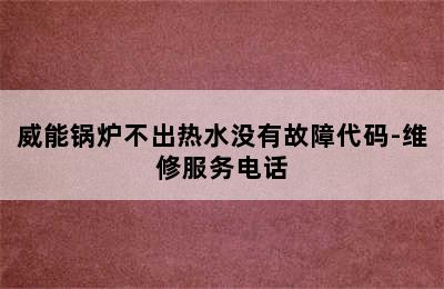 威能锅炉不出热水没有故障代码-维修服务电话