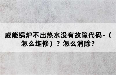 威能锅炉不出热水没有故障代码-（怎么维修）？怎么消除？