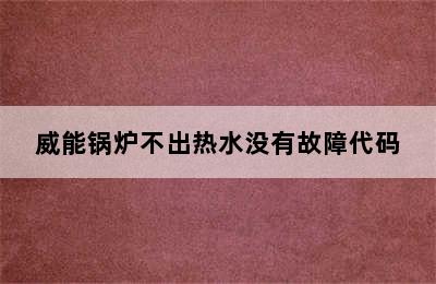 威能锅炉不出热水没有故障代码