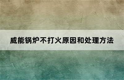 威能锅炉不打火原因和处理方法