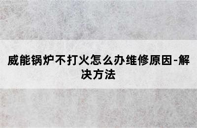 威能锅炉不打火怎么办维修原因-解决方法