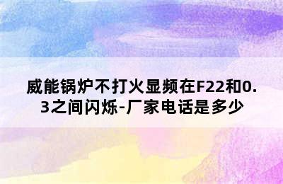 威能锅炉不打火显频在F22和0.3之间闪烁-厂家电话是多少