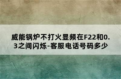 威能锅炉不打火显频在F22和0.3之间闪烁-客服电话号码多少