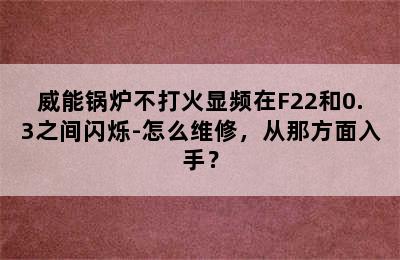 威能锅炉不打火显频在F22和0.3之间闪烁-怎么维修，从那方面入手？