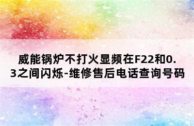 威能锅炉不打火显频在F22和0.3之间闪烁-维修售后电话查询号码