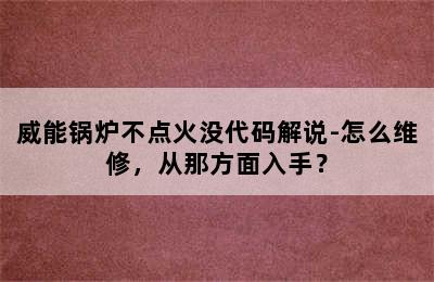 威能锅炉不点火没代码解说-怎么维修，从那方面入手？