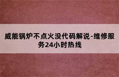 威能锅炉不点火没代码解说-维修服务24小时热线