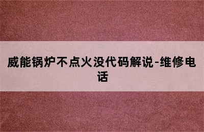 威能锅炉不点火没代码解说-维修电话