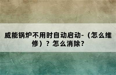 威能锅炉不用时自动启动-（怎么维修）？怎么消除？