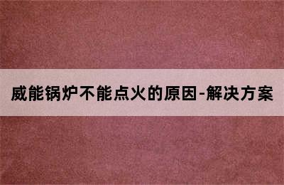 威能锅炉不能点火的原因-解决方案