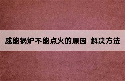 威能锅炉不能点火的原因-解决方法