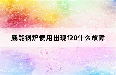 威能锅炉使用出现f20什么故障