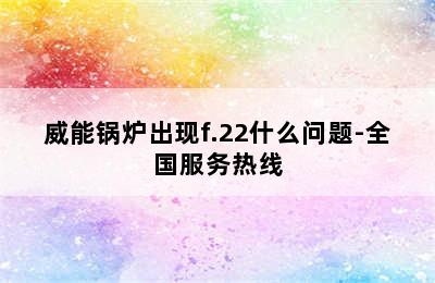 威能锅炉出现f.22什么问题-全国服务热线