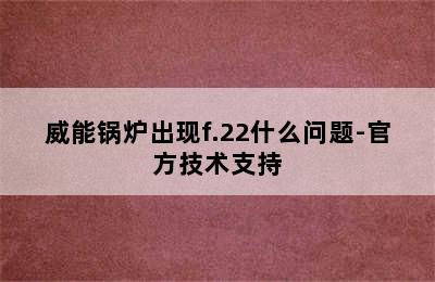 威能锅炉出现f.22什么问题-官方技术支持