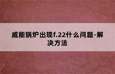 威能锅炉出现f.22什么问题-解决方法