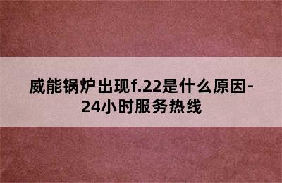 威能锅炉出现f.22是什么原因-24小时服务热线