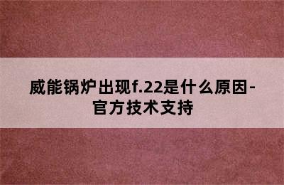 威能锅炉出现f.22是什么原因-官方技术支持