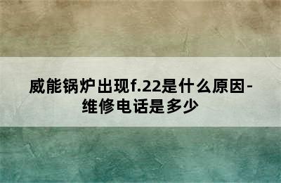 威能锅炉出现f.22是什么原因-维修电话是多少