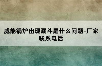 威能锅炉出现漏斗是什么问题-厂家联系电话