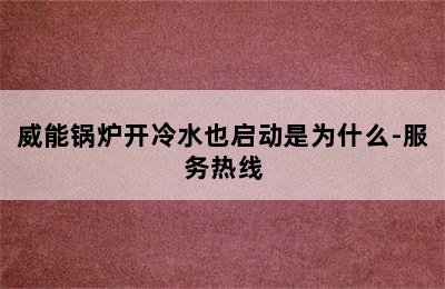 威能锅炉开冷水也启动是为什么-服务热线