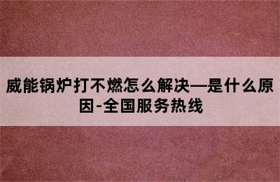 威能锅炉打不燃怎么解决—是什么原因-全国服务热线