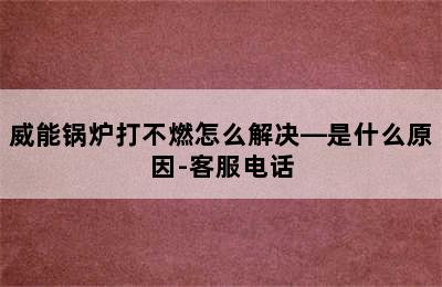 威能锅炉打不燃怎么解决—是什么原因-客服电话